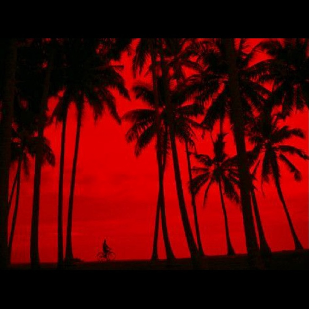 Meet your Posher, Coleen